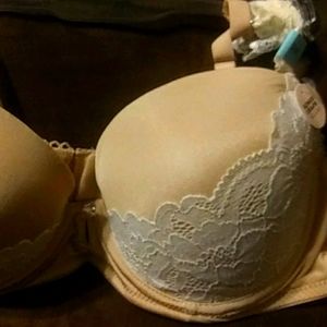 Women's Bra
